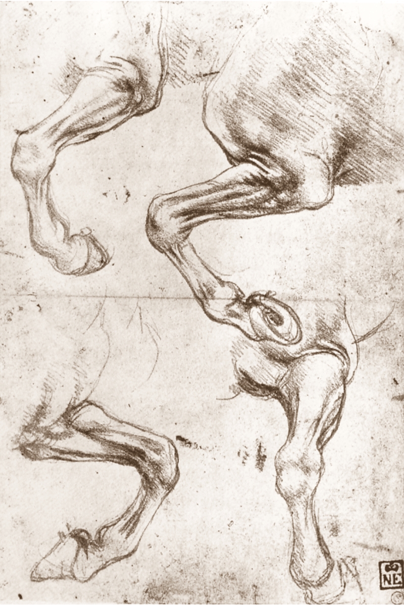 Leonardo+da+Vinci-1452-1519 (348).jpg